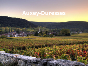 Auxey-Duresses (800 x 600 px)